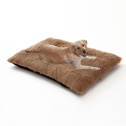 Große orthopädische Hundebetten, Matratzenmatte für Hundekäfig, rutschfeste Haustiermatte, flauschig, Anti-Angst-Welpenbetten, rechteckig, waschbar, 65 x 48 x 8 cm, Khaki Große orthopädische Hundebetten, Matratzenmatte für Hundekäfig, rutschfeste Haustiermatte, flauschig, Anti-Angst-Welpenbetten, rechteckig, waschbar, 65 x 48 x 8 cm, Khaki von DUOLEH