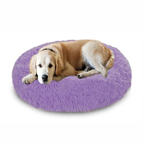 Großes Donut-Hundebett, beruhigendes Hundebett, Angstlinderung, weich, flauschig, Donut-Haustierbett, waschbar, Hundebox-Matratze, Haustierkorb für Welpen und große Katzen (110 x 110 x 20 cm, Violett) Großes Donut-Hundebett, beruhigendes Hundebett, Angstlinderung, weich, flauschig, Donut-Haustierbett, waschbar, Hundebox-Matratze, Haustierkorb für Welpen und große Katzen (110 x 110 x 20 cm, Violett) von DUOLEH