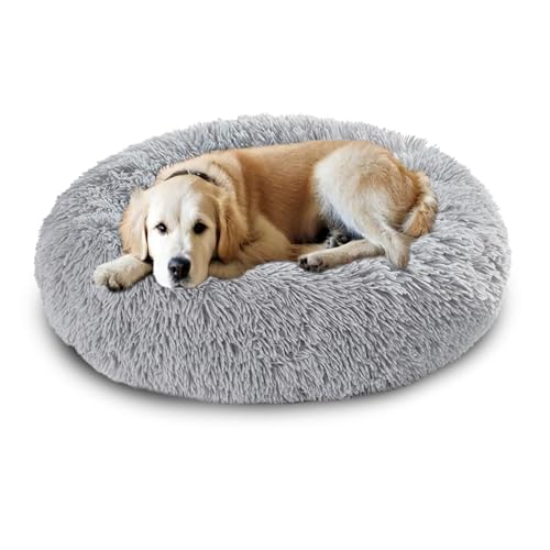 Großes Donut-Hundebett, beruhigendes Hundebett, Angstlinderung, weich, flauschig, Donut-Haustierbett, waschbar, Hundebox-Matratze, Haustierkorb für Welpen und große Katzen (90 x 90 x 20 cm, Hellgrau) Großes Donut-Hundebett, beruhigendes Hundebett, Angstlinderung, weich, flauschig, Donut-Haustierbett, waschbar, Hundebox-Matratze, Haustierkorb für Welpen und große Katzen (90 x 90 x 20 cm, Hellgrau) von DUOLEH