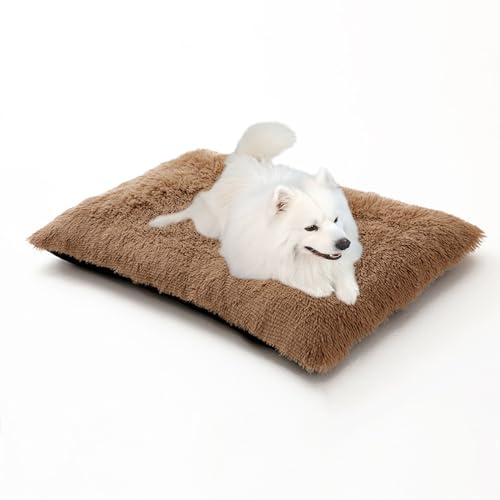 Großes Hundebett mit Reißverschluss, waschbare Hundebox-Matte, rutschfeste rechteckige Haustiermatratze, Welpenbettkissen, wärmende Haustiermatte für Border Collie/Golden Retriever (70 x 50 x 8 cm Großes Hundebett mit Reißverschluss, waschbare Hundebox-Matte, rutschfeste rechteckige Haustiermatratze, Welpenbettkissen, wärmende Haustiermatte für Border Collie/Golden Retriever (70 x 50 x 8 cm von DUOLEH
