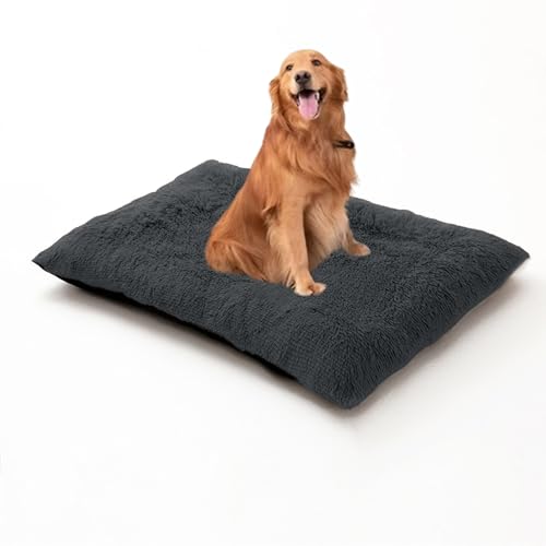 Herausnehmbare Hundebetten, waschbares, rechteckiges Haustierbett, Kissen für Hunde und Katzen, orthopädische Haustiermatratze, Matte für Kiste, rutschfestes Welpen-Sofakissen (120 x 90 x 10 cm Herausnehmbare Hundebetten, waschbares, rechteckiges Haustierbett, Kissen für Hunde und Katzen, orthopädische Haustiermatratze, Matte für Kiste, rutschfestes Welpen-Sofakissen (120 x 90 x 10 cm von DUOLEH