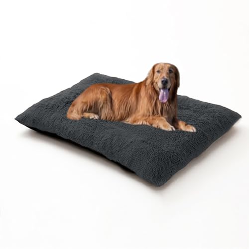 Hundebett, groß, waschbar, weich, warm, Anti-Angst-Haustierbett, Sofa, flauschige Haustierbox-Matratze, rutschfestes Kissen für Katzen, Welpen, 93 x 65 x 10 cm, Dunkelgrau Hundebett, groß, waschbar, weich, warm, Anti-Angst-Haustierbett, Sofa, flauschige Haustierbox-Matratze, rutschfestes Kissen für Katzen, Welpen, 93 x 65 x 10 cm, Dunkelgrau von DUOLEH