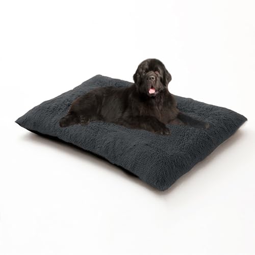 Hundebetten, groß, waschbar, beruhigendes Anti-Angst-Haustierkissen, Haustier-Schlafmatratze, Matte, rutschfest, rechteckig, Hundebett für Käfig, Welpen-Sofa-Kissenmatte (110 x 75 x 10 cm, Dunkelgrau) Hundebetten, groß, waschbar, beruhigendes Anti-Angst-Haustierkissen, Haustier-Schlafmatratze, Matte, rutschfest, rechteckig, Hundebett für Käfig, Welpen-Sofa-Kissenmatte (110 x 75 x 10 cm, Dunkelgrau) von DUOLEH