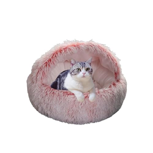 Katzenhöhlenbett für Kätzchen und Welpen, waschbares Katzenzelt, Bett für den Innenbereich, halbgeschlossene, tragbare Haustierhöhle, rutschfest, warmer Unterschlupf für Haustiere (60 x 60 x 20 cm Katzenhöhlenbett für Kätzchen und Welpen, waschbares Katzenzelt, Bett für den Innenbereich, halbgeschlossene, tragbare Haustierhöhle, rutschfest, warmer Unterschlupf für Haustiere (60 x 60 x 20 cm von DUOLEH