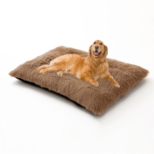 Orthopädische Betten für große Hunde, abnehmbares, waschbares Hundekissen, Anti-Angst-Haustiermatratze, wärmendes Haustier-Sofabett mit rutschfester Unterseite (70 x 50 x 8 cm, Khaki) von DUOLEH