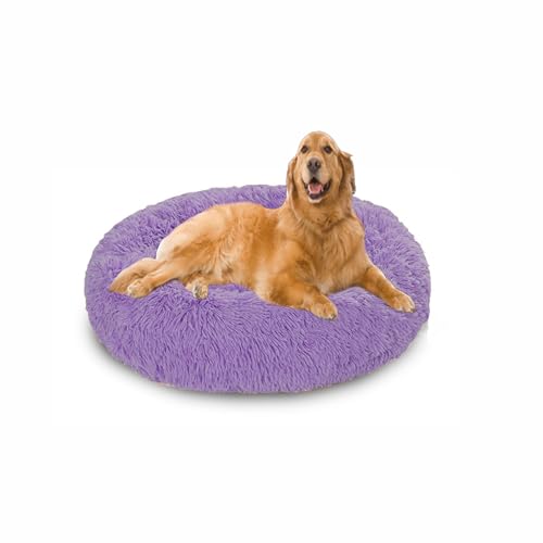 Orthopädische Hundebetten, Anti-Angst, beruhigendes Hundesofa, waschbar, weiche Plüsch-Matratze, für kleine, mittelgroße und große Haustiere mit rutschfester Unterseite (100 x 100 x 20 cm, Lila) von DUOLEH