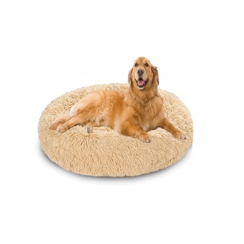 Orthopädische Hundebetten, Anti-Angst, beruhigendes Hundesofa, waschbar, weiche Plüsch-Matratze, für kleine, mittelgroße und große Haustiere mit rutschfester Unterseite (120 x 120 x 20 cm, Beige) Orthopädische Hundebetten, Anti-Angst, beruhigendes Hundesofa, waschbar, weiche Plüsch-Matratze, für kleine, mittelgroße und große Haustiere mit rutschfester Unterseite (120 x 120 x 20 cm, Beige) von DUOLEH