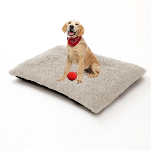 Orthopädisches Hundesofa, Hundesofa mit abnehmbarem, waschbarem Bezug, rechteckig, mittelgroße und große Haustiermatratze, Anti-Angst-Welpenkissen, Kissen (120 x 90 x 10 cm, gebrochenes Weiß) von DUOLEH
