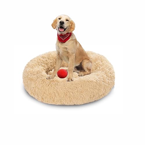 Plüsch-Donut-Kuschel-Hundebett, rund, waschbar, Anti-Angstzustände, flauschiges Haustierkissen, rutschfest, mittelgroß, weich, warm (130 x 130 x 20 cm, Beige) von DUOLEH