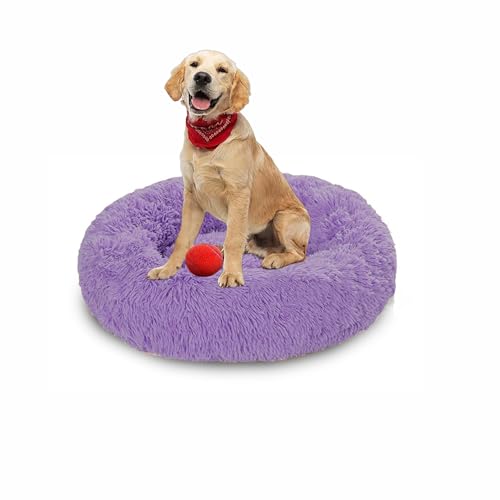 Plüsch-Donut-Kuschel-Hundebett, rund, waschbar, Anti-Angstzustände, flauschiges Haustierkissen, rutschfest, mittelgroß, weich, warm (60 x 60 x 20 cm, Lila) von DUOLEH