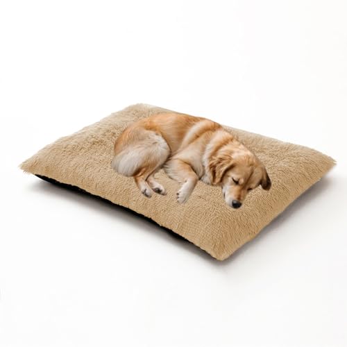Rechteckiges Hundebett, warm, waschbar, orthopädische Hundebetten und Couch, Haustier-Sofa-Kissenmatte, kleine Medien, große Haustierbox-Matratze mit rutschfester Unterseite, 93 x 65 x 10 cm, Beige Rechteckiges Hundebett, warm, waschbar, orthopädische Hundebetten und Couch, Haustier-Sofa-Kissenmatte, kleine Medien, große Haustierbox-Matratze mit rutschfester Unterseite, 93 x 65 x 10 cm, Beige von DUOLEH