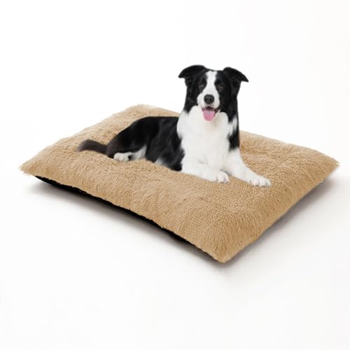 Warmes Hundekissen, groß, orthopädisches, gemütliches Plüsch-Hundebett, waschbar, Anti-Angst-Haustiermatratze, rutschfest, beruhigende Matratze für Welpen, 65 x 48 x 8 cm, Beige Warmes Hundekissen, groß, orthopädisches, gemütliches Plüsch-Hundebett, waschbar, Anti-Angst-Haustiermatratze, rutschfest, beruhigende Matratze für Welpen, 65 x 48 x 8 cm, Beige von DUOLEH