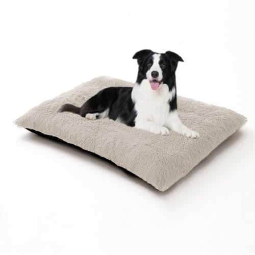 Warmes Hundekissen, groß, orthopädisches, gemütliches Plüsch-Hundebett, waschbar, Anti-Angst-Haustiermatratze, rutschfest, beruhigende Matratze für Welpen, 65 x 48 x 8 cm, gebrochenes Weiß von DUOLEH