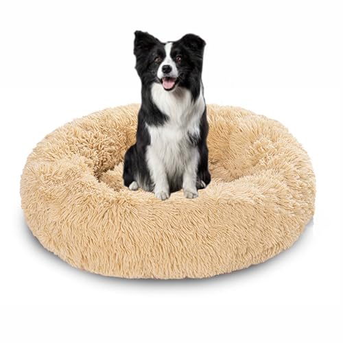 Waschbare Anti-Angst-Hundebetten für den Innenbereich, beruhigendes Hundebett, flauschiger Plüsch, runde Kuschelmatratze, wärmendes Donut-Kissen mit rutschfester Unterseite (60 x 60 x 20 cm, Beige) von DUOLEH