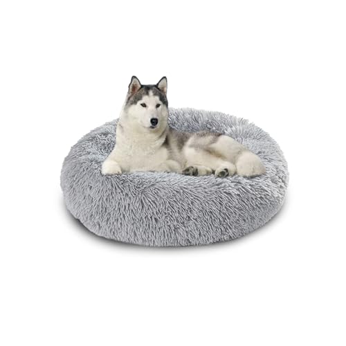 Waschbares großes Hundebett, orthopädische, beruhigende Hundebetten, Matratze, Matten, wärmende Donut-Kissen für den Innenbereich, rutschfestes Haustierkissen für Käfig (120 x 120 x 20 cm, Hellgrau) Waschbares großes Hundebett, orthopädische, beruhigende Hundebetten, Matratze, Matten, wärmende Donut-Kissen für den Innenbereich, rutschfestes Haustierkissen für Käfig (120 x 120 x 20 cm, Hellgrau) von DUOLEH