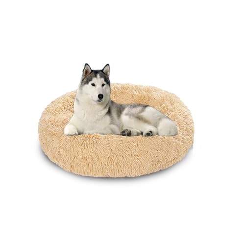 Waschbares großes Hundebett, orthopädische, beruhigende Hundebetten, Matratze, Matten, wärmende Donut-Kissen für den Innenbereich, rutschfestes Haustierkissen für Käfig (120 x 120 x 20 cm, Beige) Waschbares großes Hundebett, orthopädische, beruhigende Hundebetten, Matratze, Matten, wärmende Donut-Kissen für den Innenbereich, rutschfestes Haustierkissen für Käfig (120 x 120 x 20 cm, Beige) von DUOLEH