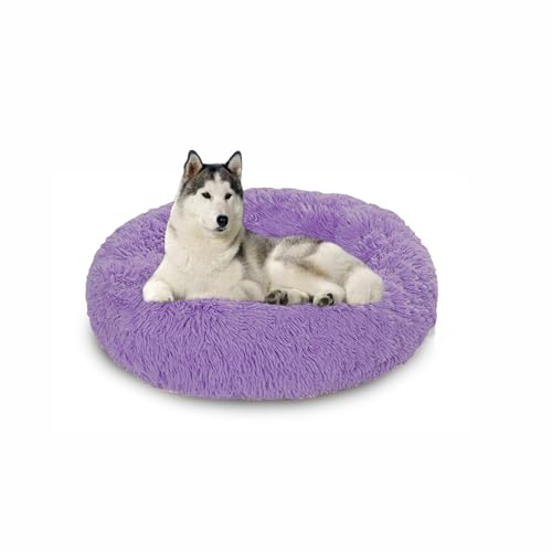 Waschbares großes Hundebett, orthopädische, beruhigende Hundebetten, Matratze, Matten, wärmende Donut-Kissen für den Innenbereich, rutschfestes Haustierkissen für Käfig (120 x 120 x 20 cm, Violett) Waschbares großes Hundebett, orthopädische, beruhigende Hundebetten, Matratze, Matten, wärmende Donut-Kissen für den Innenbereich, rutschfestes Haustierkissen für Käfig (120 x 120 x 20 cm, Violett) von DUOLEH