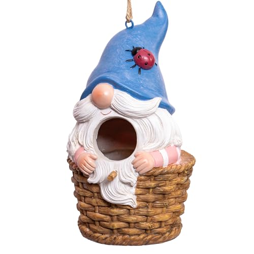 DUSVALLY Vogelhaus aus Harz, hängendes Vogelhaus für draußen, Wildes Bluebird Haus, Deko Zwerg Vogelhaus für Haus Garten Deko (Blau, Groß) von DUSVALLY