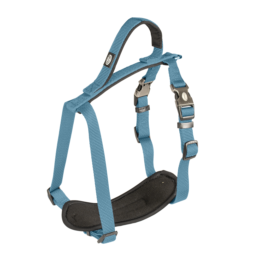 Duvoplus EXPLOR North Geschirr - Petrolblau - 80-100cm/25mm Duvoplus EXPLOR North Geschirr - Petrolblau - 80-100cm/25mm von DUVO
