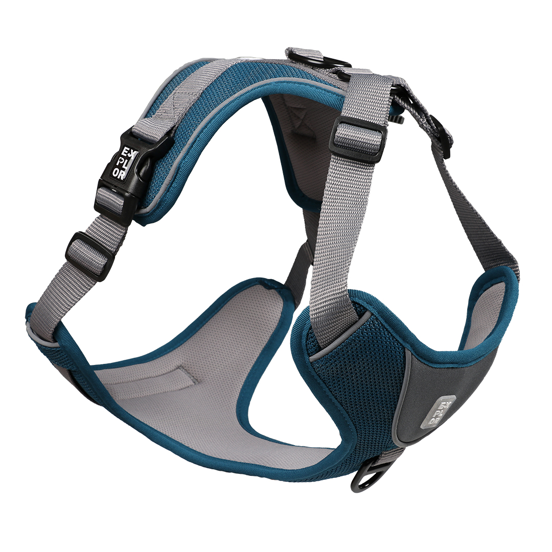 Duvoplus EXPLOR Ultimate Fit No-Pull-Geschirr - petrol blue - L - 48-58cm - 58-81cm Duvoplus EXPLOR Ultimate Fit No-Pull-Geschirr - petrol blue - L - 48-58cm - 58-81cm von DUVO
