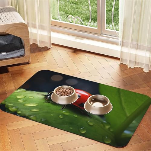 Beautiful Ladybug1 Print Pet Feeding Mat Dog Mat for Food and Water Bowl Dogs Water Dispenser Mat Dogs Accessories Beautiful Ladybug1 Print Pet Feeding Mat Dog Mat for Food and Water Bowl Dogs Water Dispenser Mat Dogs Accessories von DUWAA