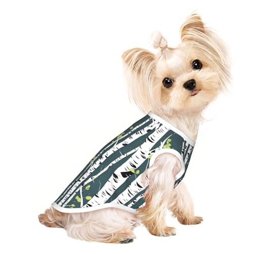 Beauty Hunde-Shirt, Motiv: Birkenbaum, Sommer, leicht, weich, atmungsaktiv, dehnbar, für Katzen und Hunde von DUWAA