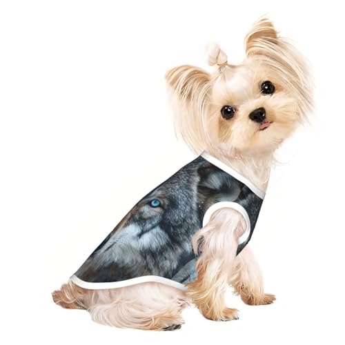 Blaue Augen, Wolfsdruck, Sommer-T-Shirt, leicht, weich, atmungsaktiv, dehnbar, für Katzen und Hunde Blaue Augen, Wolfsdruck, Sommer-T-Shirt, leicht, weich, atmungsaktiv, dehnbar, für Katzen und Hunde von DUWAA
