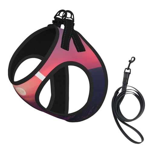 Bright Moon at Sea Hundegeschirr mit Leine, Hippie-Aufdruck, kein Entkommen, leichtes Gehen, Welpengeschirr für Training und Spaziergang Bright Moon at Sea Hundegeschirr mit Leine, Hippie-Aufdruck, kein Entkommen, leichtes Gehen, Welpengeschirr für Training und Spaziergang von DUWAA