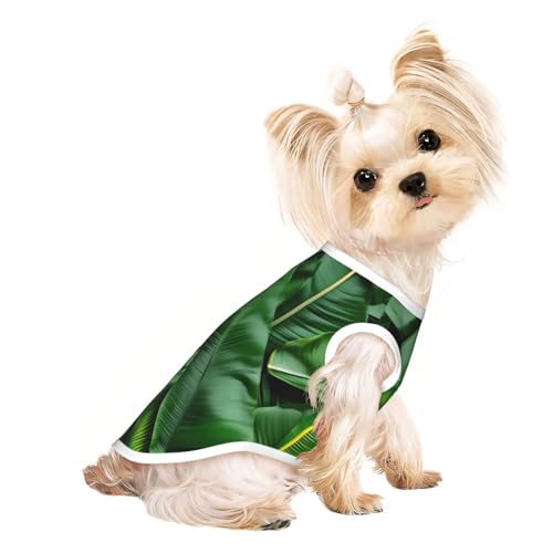 Hunde-Shirt, Motiv: Bananenblätter, Sommer, leicht, weich, atmungsaktiv, dehnbar, für Katzen und Hunde Hunde-Shirt, Motiv: Bananenblätter, Sommer, leicht, weich, atmungsaktiv, dehnbar, für Katzen und Hunde von DUWAA