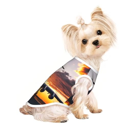 Hunde-Shirt, Motiv: Flugzeug bei Sonnenuntergang, Sommer, leicht, weich, atmungsaktiv, dehnbar, für Katzen und Hunde Hunde-Shirt, Motiv: Flugzeug bei Sonnenuntergang, Sommer, leicht, weich, atmungsaktiv, dehnbar, für Katzen und Hunde von DUWAA