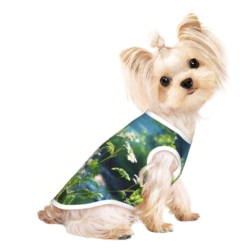 Hunde-Shirt, Motiv: Wildblumen, Vögel, Blätter, Zweige, 2, bedruckt, Sommer, leicht, weich, atmungsaktiv, dehnbar, für Katzen und Hunde Hunde-Shirt, Motiv: Wildblumen, Vögel, Blätter, Zweige, 2, bedruckt, Sommer, leicht, weich, atmungsaktiv, dehnbar, für Katzen und Hunde von DUWAA