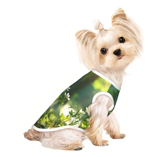 Hunde-Shirt, Motiv: Wildblumen, Vögel, Blätter, Zweige, 3 Drucke, Sommer, Haustier-T-Shirt, dehnbar, für Katzen, Hunde, ärmelloses Tank-Top, Hundeweste Hunde-Shirt, Motiv: Wildblumen, Vögel, Blätter, Zweige, 3 Drucke, Sommer, Haustier-T-Shirt, dehnbar, für Katzen, Hunde, ärmelloses Tank-Top, Hundeweste von DUWAA