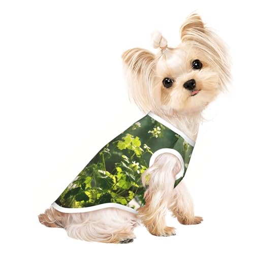 Hunde-Shirt, Motiv: Wildblumen, Vögel, Blätter, Zweige, Druck, Sommer, Haustier-T-Shirt, dehnbar, für Katzen, Hunde, ärmelloses Tank-Top, Hundeweste Hunde-Shirt, Motiv: Wildblumen, Vögel, Blätter, Zweige, Druck, Sommer, Haustier-T-Shirt, dehnbar, für Katzen, Hunde, ärmelloses Tank-Top, Hundeweste von DUWAA