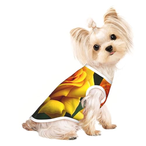 Hunde-Shirt, Motiv: gelbe Rose, Sommer, leicht, weich, atmungsaktiv, dehnbar, für Katzen und Hunde Hunde-Shirt, Motiv: gelbe Rose, Sommer, leicht, weich, atmungsaktiv, dehnbar, für Katzen und Hunde von DUWAA