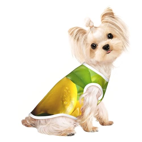 Hunde-Shirt, Motiv: gelbe frische Zitronen 3, Sommer, leicht, weich, atmungsaktiv, dehnbar, für Katzen und Hunde Hunde-Shirt, Motiv: gelbe frische Zitronen 3, Sommer, leicht, weich, atmungsaktiv, dehnbar, für Katzen und Hunde von DUWAA