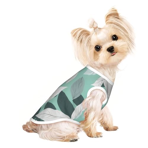 Hunde-Shirt, Sommer-T-Shirt, leicht, weich, atmungsaktiv, dehnbar, für Katzen, Hunde, Minzgrau Hunde-Shirt, Sommer-T-Shirt, leicht, weich, atmungsaktiv, dehnbar, für Katzen, Hunde, Minzgrau von DUWAA