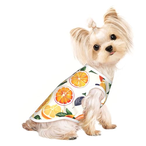 Hunde-Shirt, Sommer-T-Shirt, leicht, weich, atmungsaktiv, dehnbar, für Katzen und Hunde Hunde-Shirt, Sommer-T-Shirt, leicht, weich, atmungsaktiv, dehnbar, für Katzen und Hunde von DUWAA