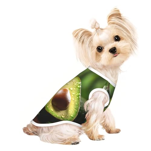 Hunde-Shirt mit Avocado-Fruchtdruck, Sommer, leicht, weich, atmungsaktiv, dehnbar, für Katzen und Hunde Hunde-Shirt mit Avocado-Fruchtdruck, Sommer, leicht, weich, atmungsaktiv, dehnbar, für Katzen und Hunde von DUWAA