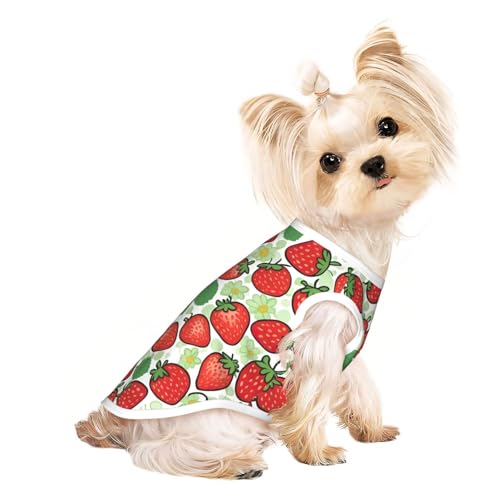 Hunde-Shirt mit Erdbeermuster, Sommer, leicht, weich, atmungsaktiv, dehnbar, für Katzen und Hunde Hunde-Shirt mit Erdbeermuster, Sommer, leicht, weich, atmungsaktiv, dehnbar, für Katzen und Hunde von DUWAA