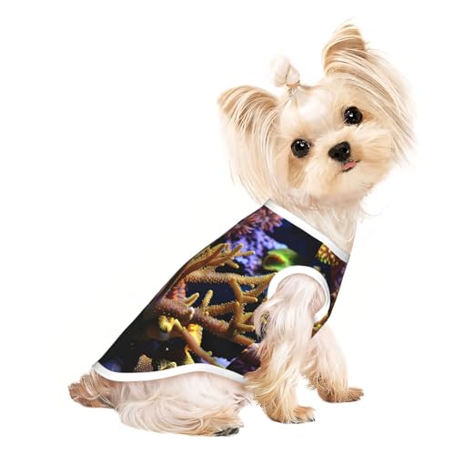 Hunde-Shirt mit Korallenriff-Aufdruck, Sommer, leicht, weich, atmungsaktiv, dehnbar, für Katzen und Hunde Hunde-Shirt mit Korallenriff-Aufdruck, Sommer, leicht, weich, atmungsaktiv, dehnbar, für Katzen und Hunde von DUWAA