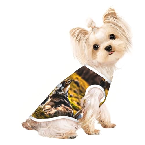 Hunde-Shirt mit Wolfs-Aufdruck, Sommer, leicht, weich, atmungsaktiv, dehnbar, für Katzen und Hunde Hunde-Shirt mit Wolfs-Aufdruck, Sommer, leicht, weich, atmungsaktiv, dehnbar, für Katzen und Hunde von DUWAA