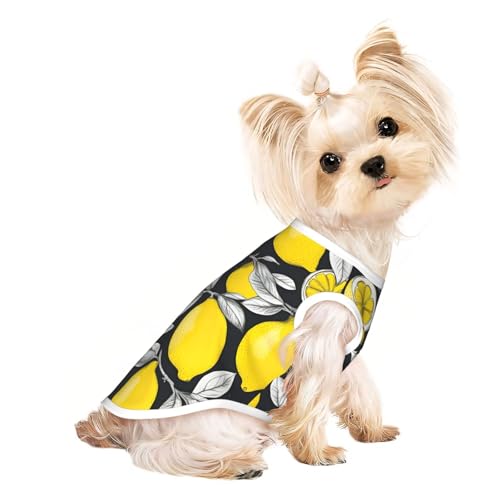 Hunde-Shirt mit Zitronenfrucht-Muster, Sommer, leicht, weich, atmungsaktiv, dehnbar, für Katzen und Hunde Hunde-Shirt mit Zitronenfrucht-Muster, Sommer, leicht, weich, atmungsaktiv, dehnbar, für Katzen und Hunde von DUWAA