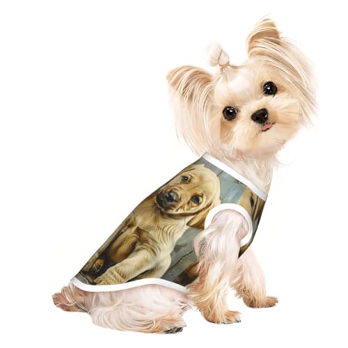 Hunde-T-Shirt mit Hunde-Aufdruck, Sommer, leicht, weich, atmungsaktiv, dehnbar, für Katzen und Hunde Hunde-T-Shirt mit Hunde-Aufdruck, Sommer, leicht, weich, atmungsaktiv, dehnbar, für Katzen und Hunde von DUWAA