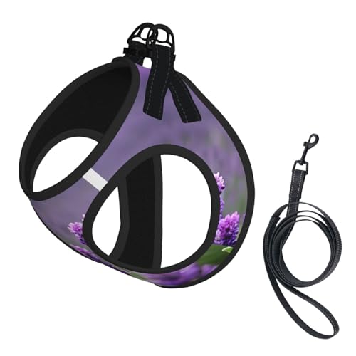Hundegeschirr für kleine Hunde mit Leine, Lavendelfarben, mit Leine, kein Entkommen, leichtes Gehen, Welpengeschirr für Training und Spaziergänge, Violett Hundegeschirr für kleine Hunde mit Leine, Lavendelfarben, mit Leine, kein Entkommen, leichtes Gehen, Welpengeschirr für Training und Spaziergänge, Violett von DUWAA