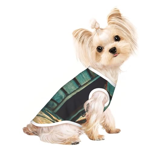 Hundeshirt aus Holz mit Seestern-Druck, Sommer, leicht, weich, atmungsaktiv, dehnbar, für Katzen und Hunde von DUWAA