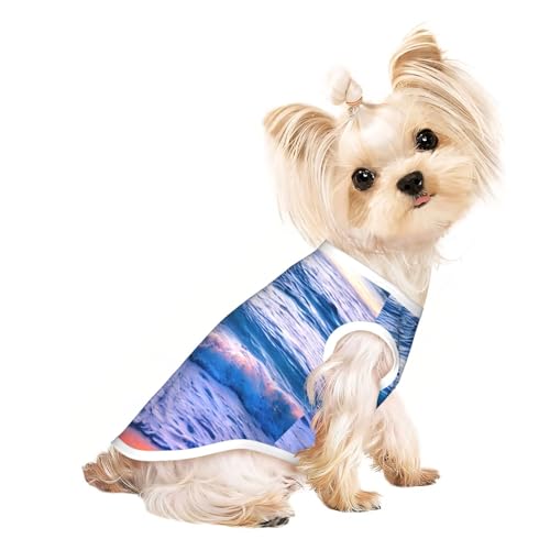 Hundeshirt für den Sommer, leicht, weich, atmungsaktiv, dehnbar, für Katzen und Hunde Hundeshirt für den Sommer, leicht, weich, atmungsaktiv, dehnbar, für Katzen und Hunde von DUWAA