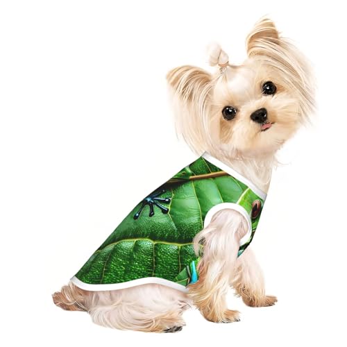 Hundeshirt mit Froschblätter-Aufdruck, Sommer, leicht, weich, atmungsaktiv, dehnbar, für Katzen und Hunde Hundeshirt mit Froschblätter-Aufdruck, Sommer, leicht, weich, atmungsaktiv, dehnbar, für Katzen und Hunde von DUWAA