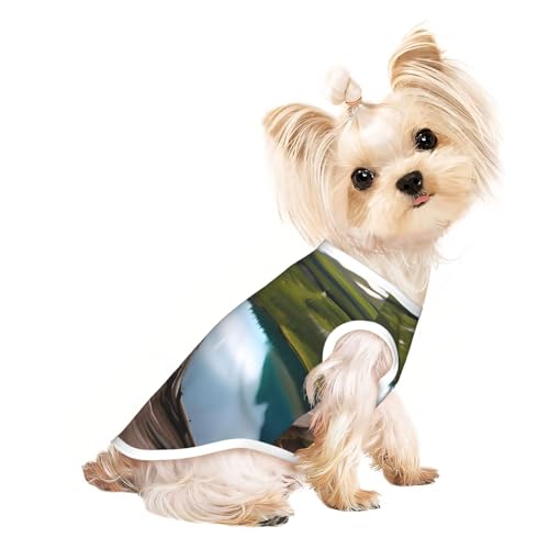 Hundeshirt mit Gletscher-Nationalpark-Aufdruck, Sommer, leicht, weich, atmungsaktiv, dehnbar, für Katzen und Hunde Hundeshirt mit Gletscher-Nationalpark-Aufdruck, Sommer, leicht, weich, atmungsaktiv, dehnbar, für Katzen und Hunde von DUWAA