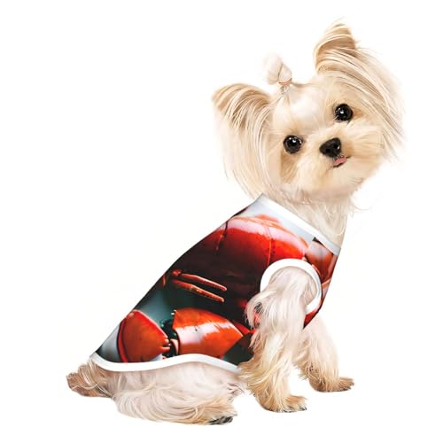Hundeshirt mit Hummer-Druck, Sommer, leicht, weich, atmungsaktiv, dehnbar, für Katzen und Hunde von DUWAA
