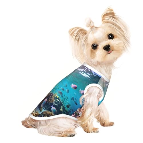 Hundeshirt mit Meeresfisch-Aufdruck, Sommer, leicht, weich, atmungsaktiv, dehnbar, für Katzen und Hunde von DUWAA